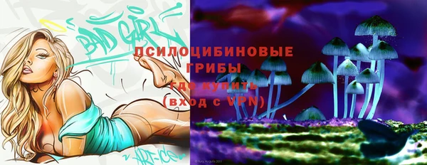 ECSTASY Алексин