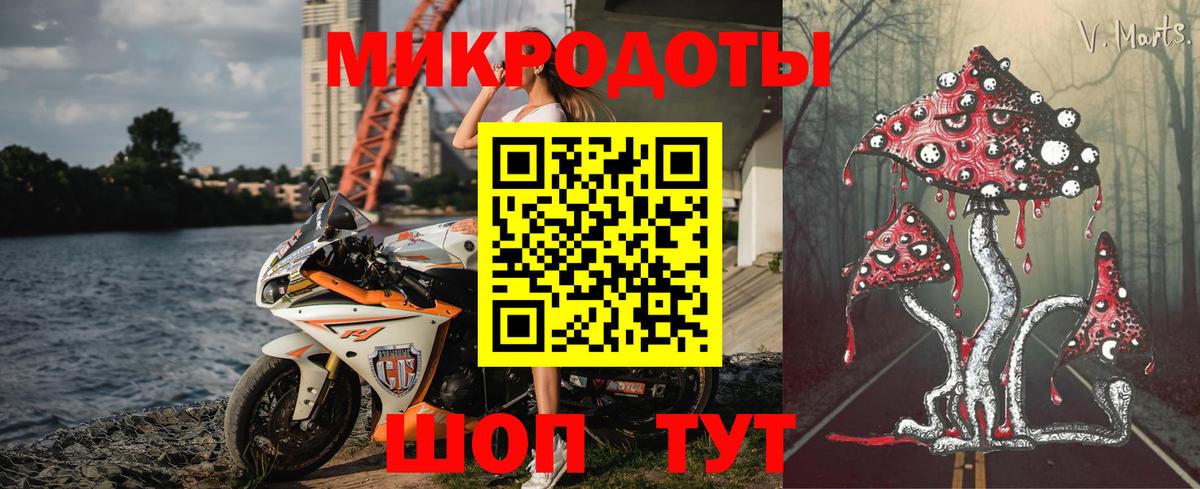Псилоцибиновые грибы мицелий Зерноград