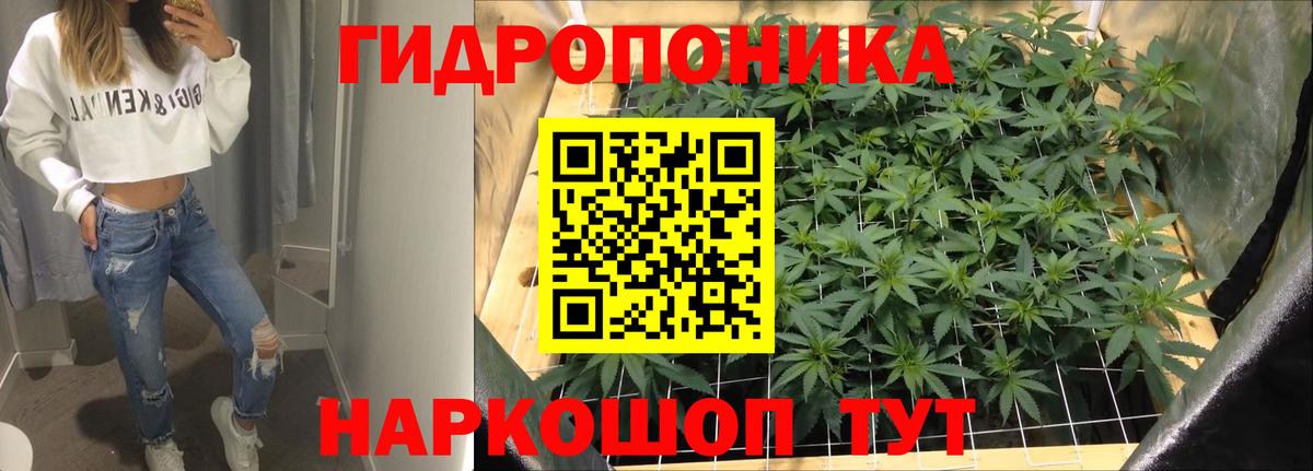 Зерноград  Канабис THC 21%  Конопля индика  Бошки Шишки Amnesia  Вход с VPN 